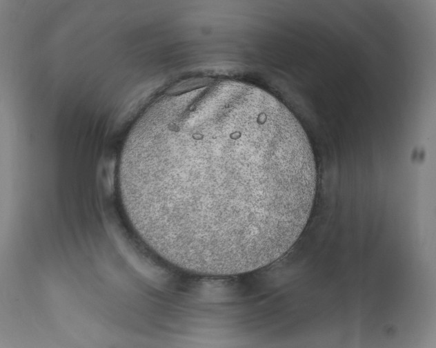 X0000110760070200907061105