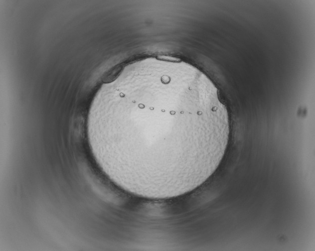 X0000110760071200907061105