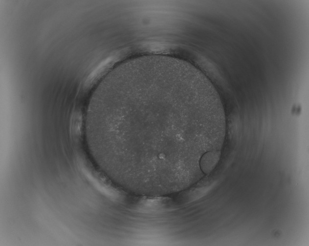 X0000110760072200907061105