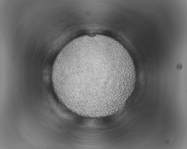 X0000110760074200907061105