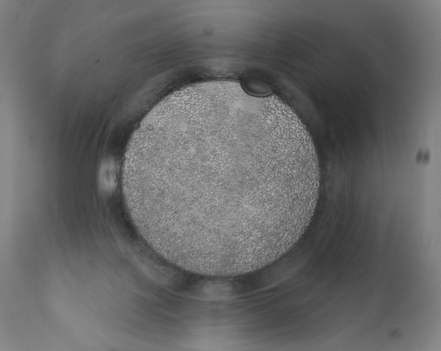 X0000110760075200907061105