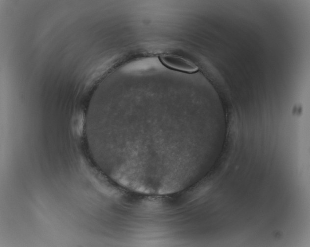 X0000110760076200907061105