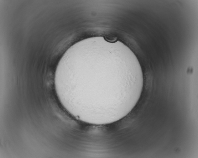 X0000110760077200907061105