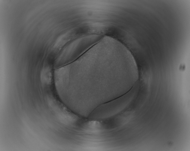 X0000110760080200907061105