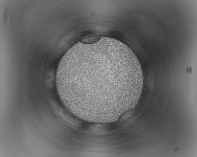 X0000110760082200907061105