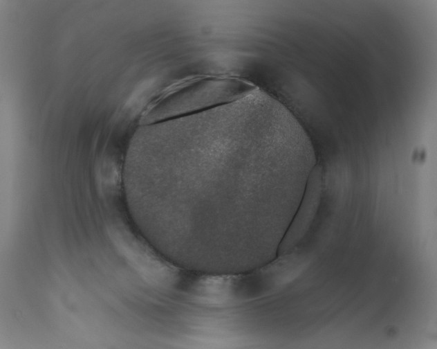 X0000110760084200907061105