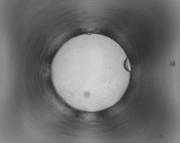 X0000110760085200907061105