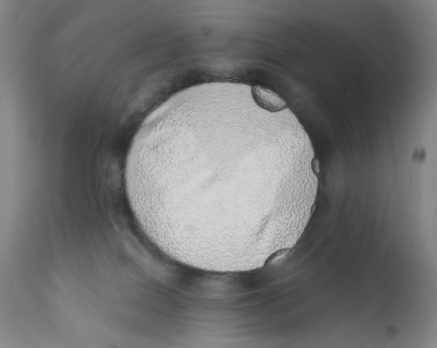 X0000110760086200907061105