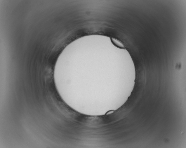 X0000110760087200907061105