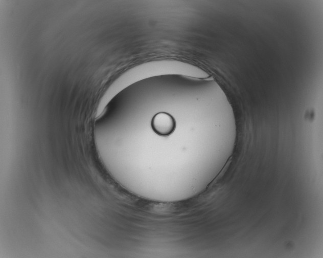 X0000110760088200907061105