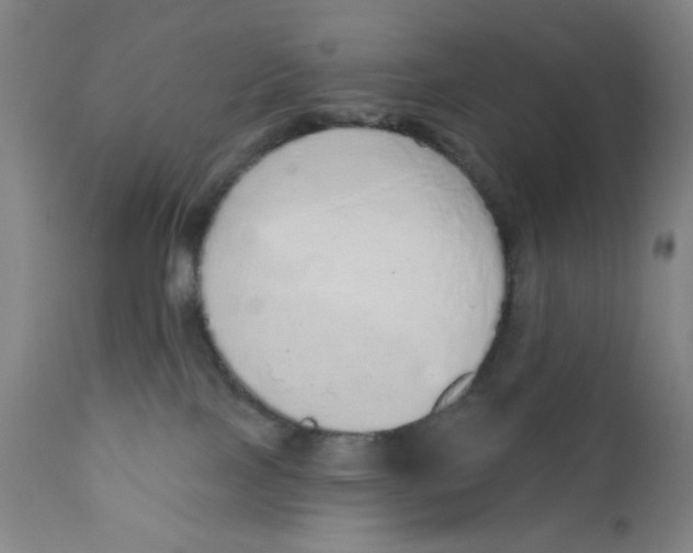 X0000110760089200907061105