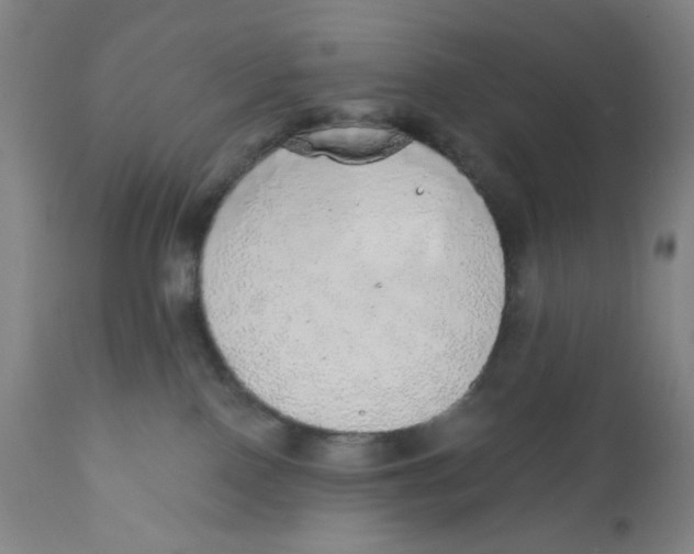 X0000110760090200907061105