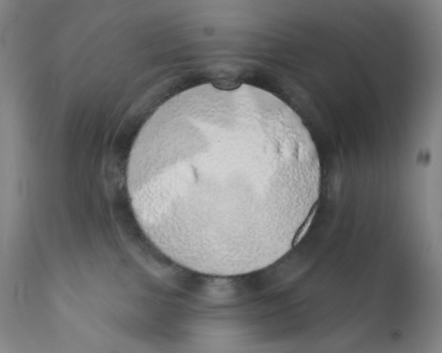 X0000110760091200907061105