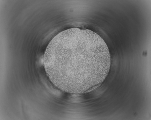 X0000110760095200907061105
