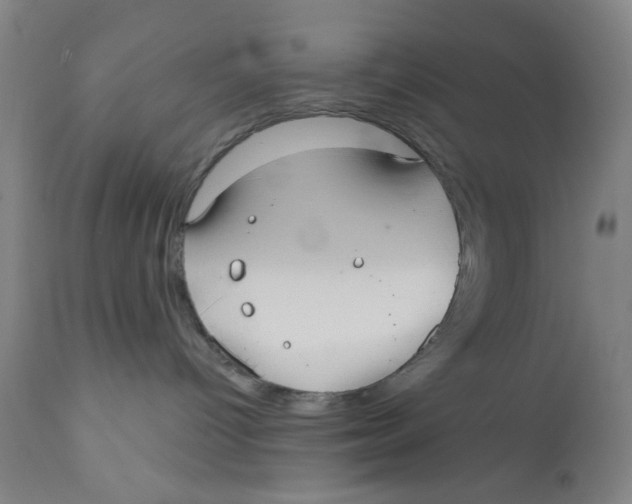 X0000110760096200907061105
