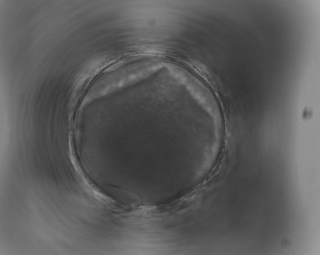 X0000110760097200907061105