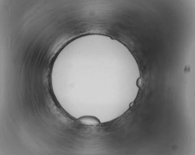 X0000110760098200907061105