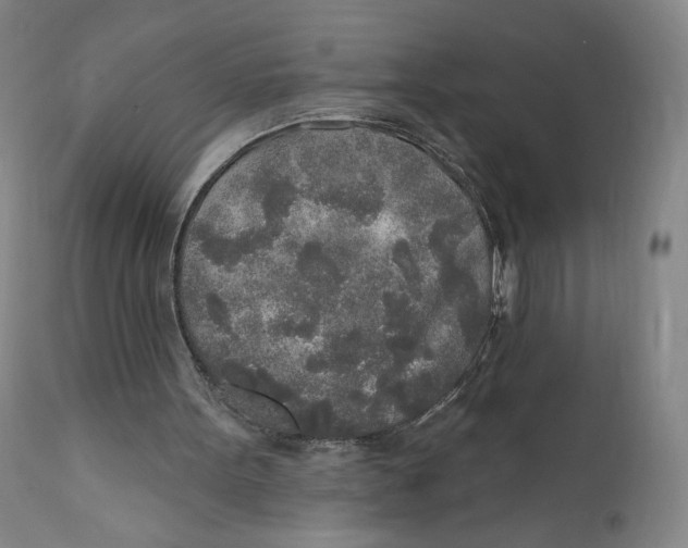 X0000110760099200907061105