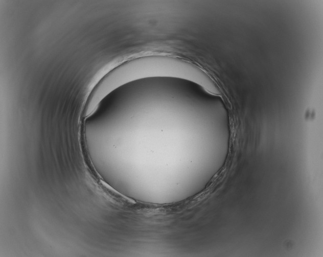 X0000110760100200907061105