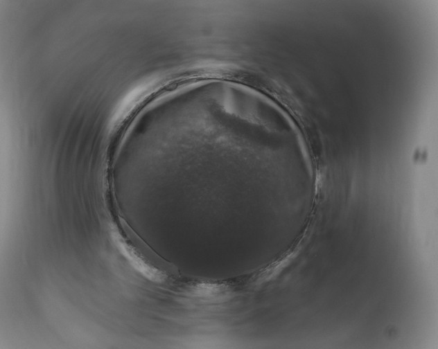 X0000110760101200907061105