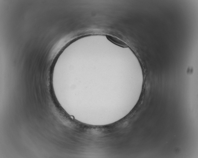 X0000110760103200907061104