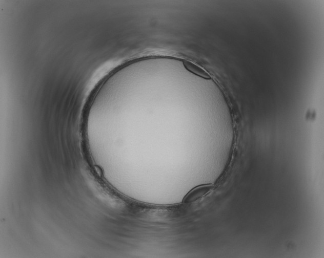 X0000110760104200907061104