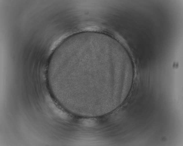 X0000110760106200907061104