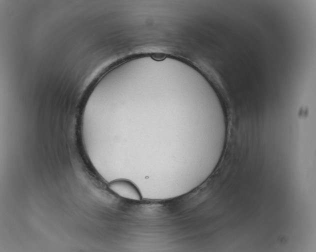 X0000110760108200907061104