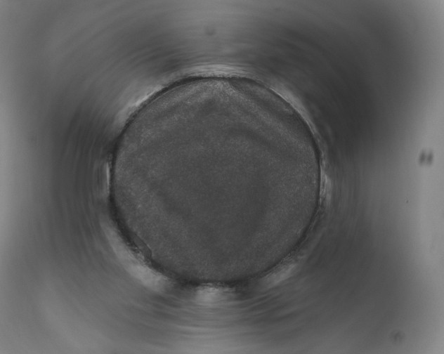 X0000110760109200907061104