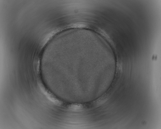 X0000110760110200907061104