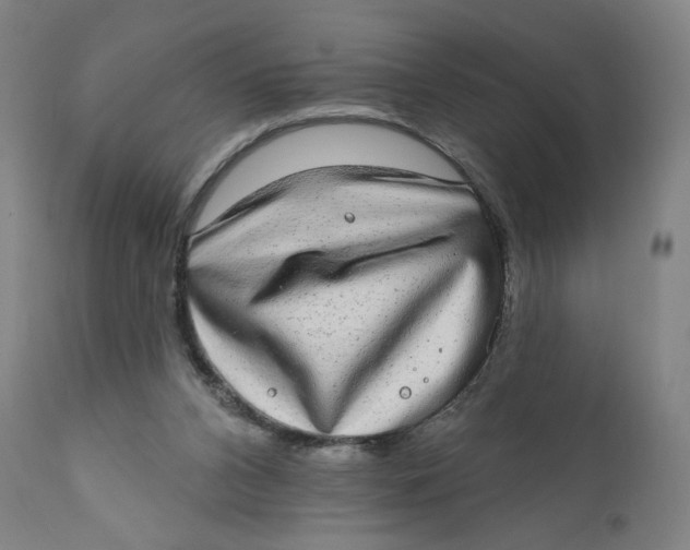 X0000110760112200907061104