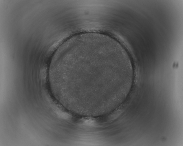 X0000110760113200907061104