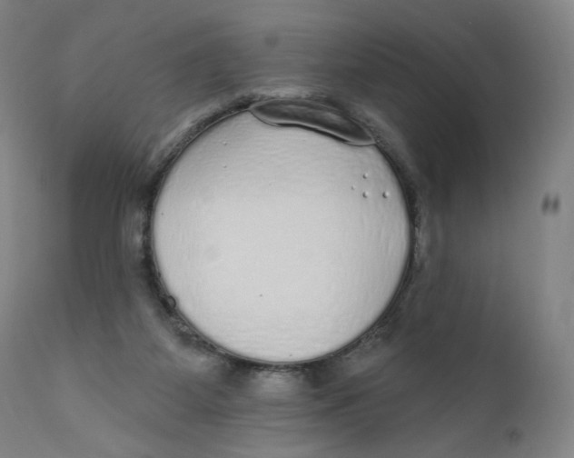 X0000110760115200907061104