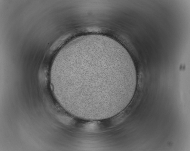 X0000110760116200907061104