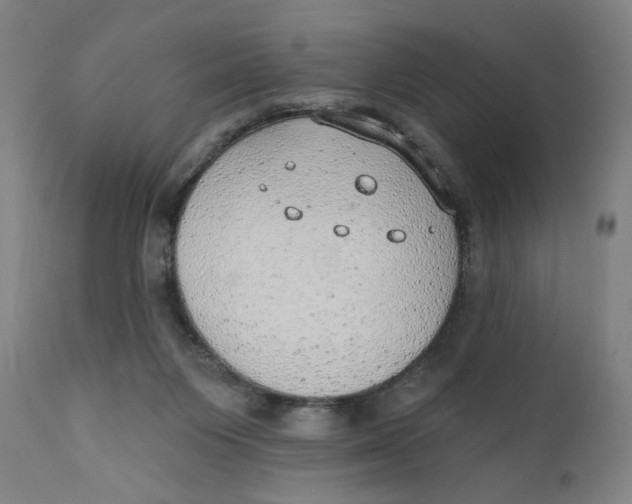 X0000110760119200907061104