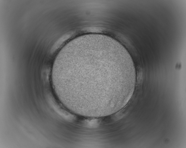 X0000110760120200907061104
