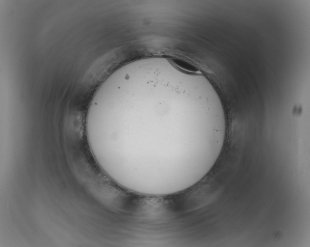 X0000110760121200907061104