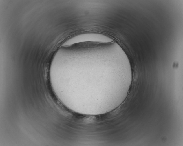 X0000110760124200907061104