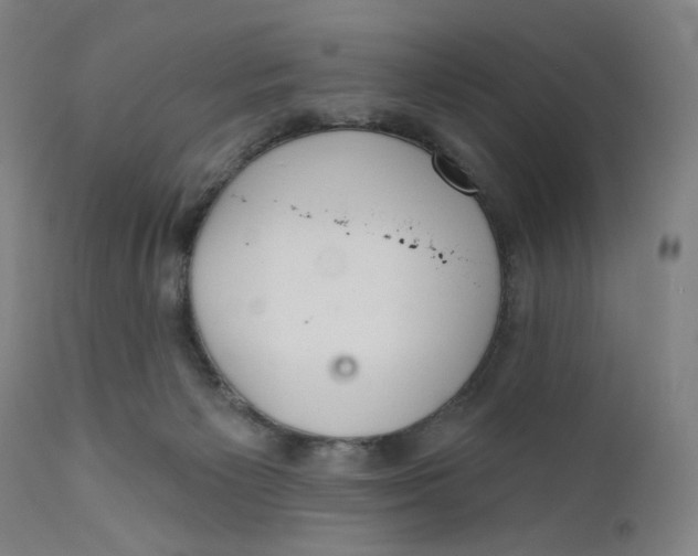 X0000110760125200907061104