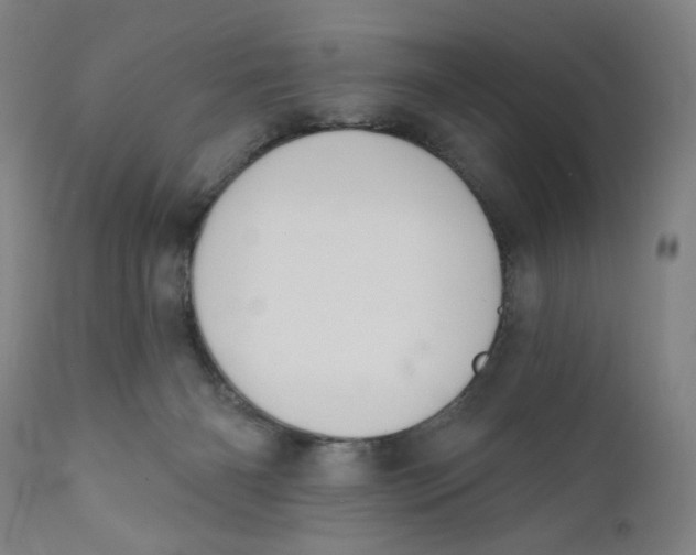 X0000110760126200907061104