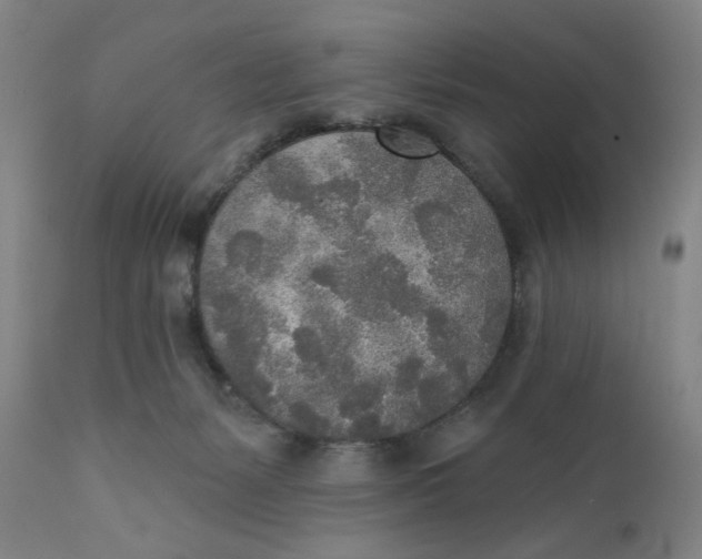X0000110760127200907061104