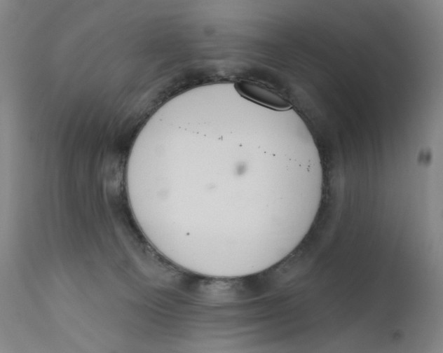 X0000110760129200907061104