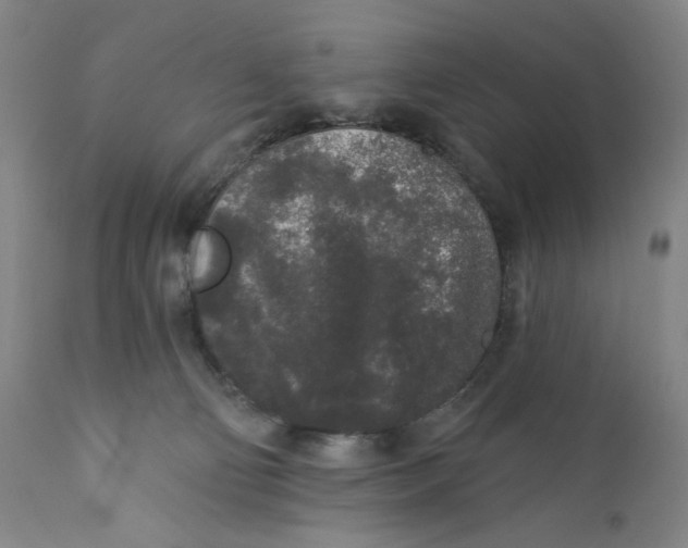 X0000110760130200907061104
