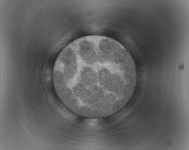 X0000110760131200907061104