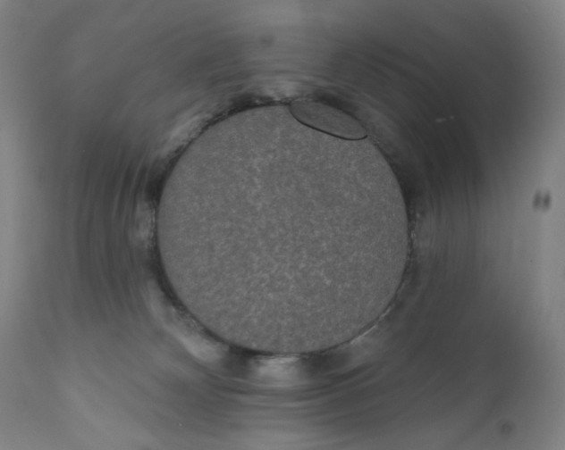 X0000110760132200907061104