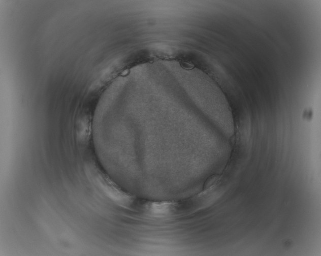 X0000110760134200907061104