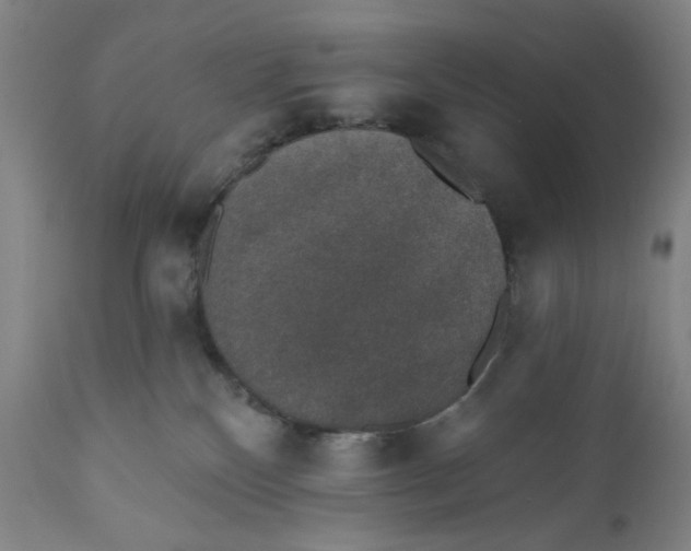 X0000110760136200907061104