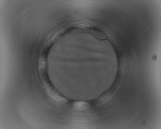 X0000110760137200907061104