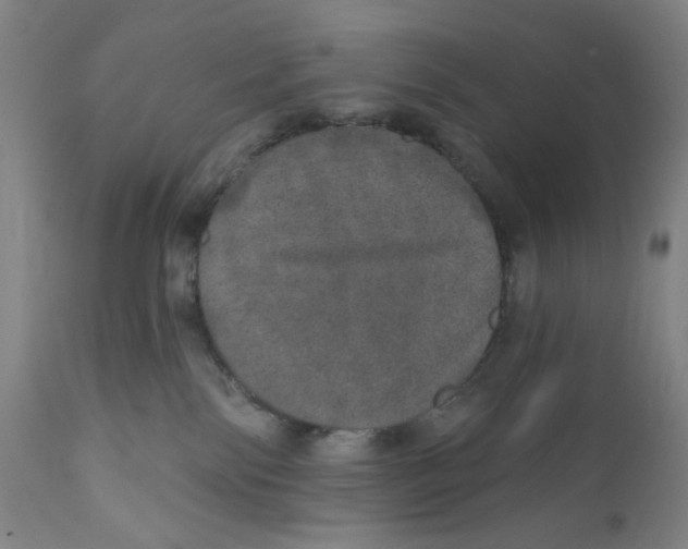 X0000110760138200907061104