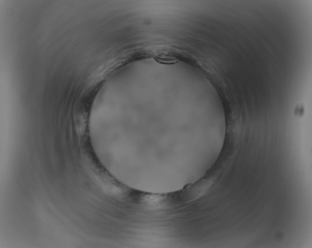 X0000110760139200907061104